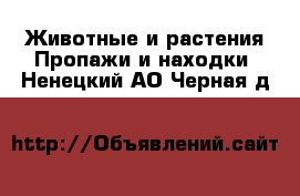 Животные и растения Пропажи и находки. Ненецкий АО,Черная д.